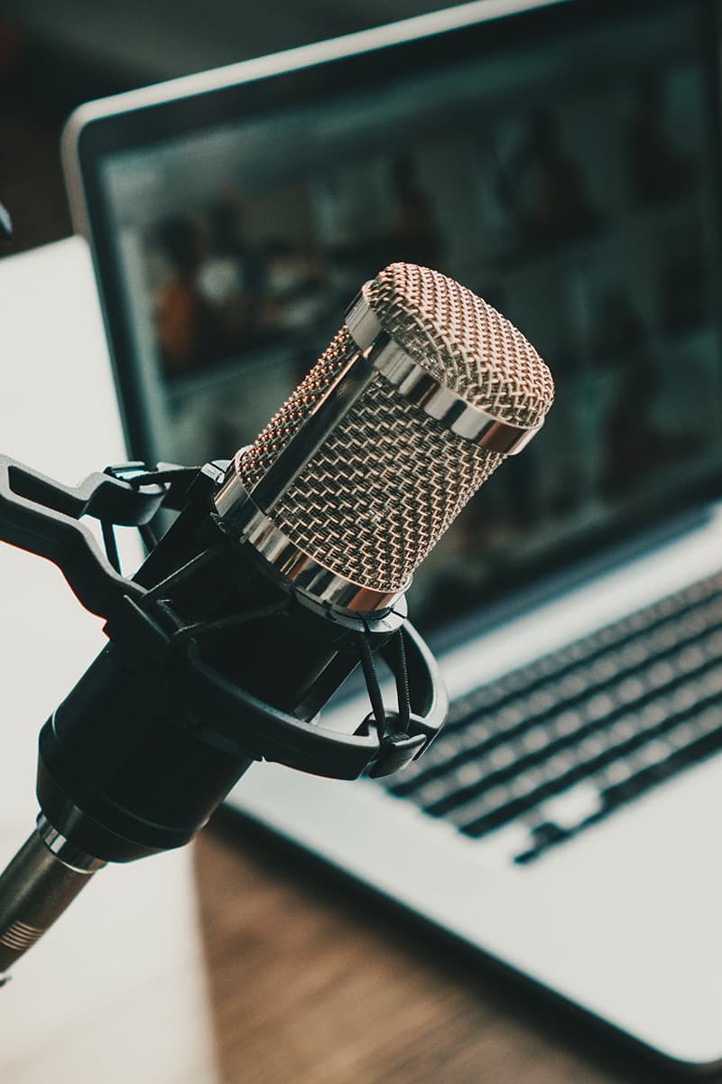 Mamelodi Sundowns Fans