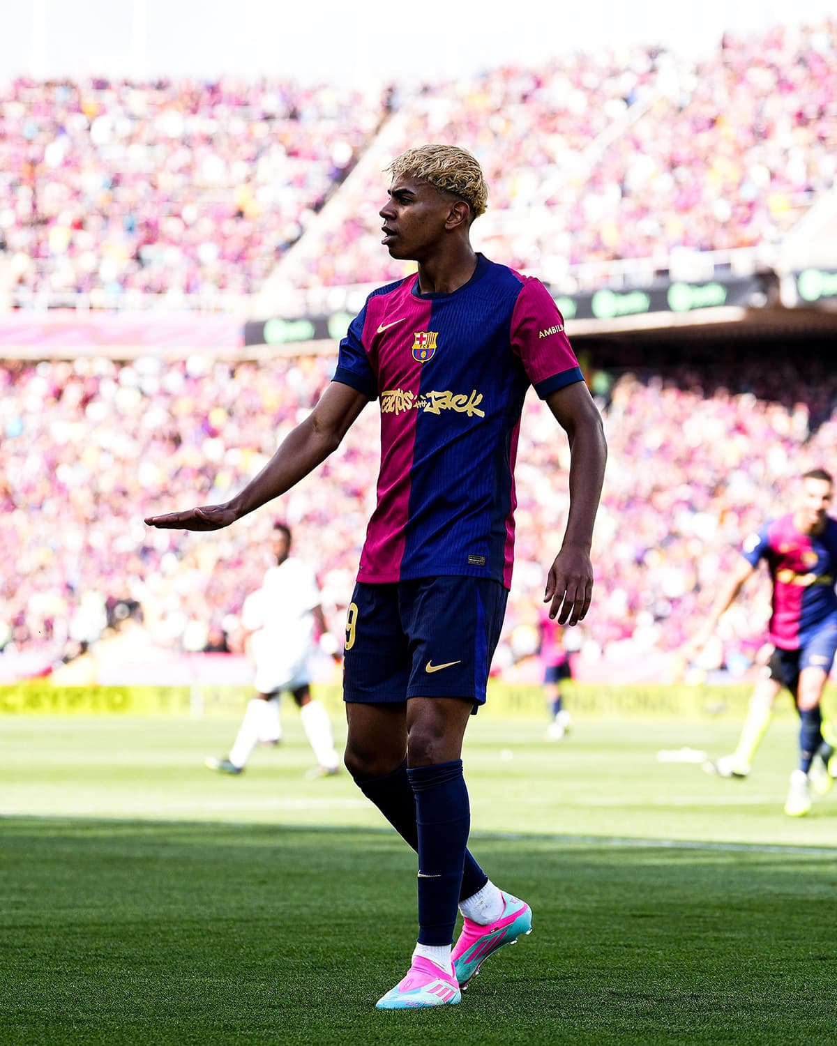 Mamelodi Sundowns Fans